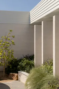 Modern minimalist facade featuring concrete and timber materials.