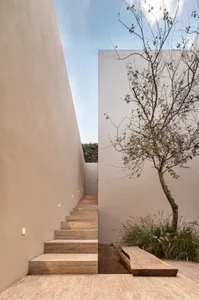 極簡建築設計中的階梯與植生牆