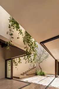 A modern indoor garden featuring natural stone elements and an open, airy design.