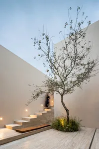Concrete staircase with a tree in a minimalist interior setting