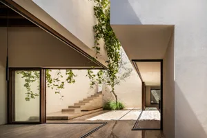 Modern residential space featuring climbing plants on walls