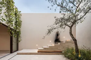 A modern residential entryway featuring natural stone steps and a tree with branches.