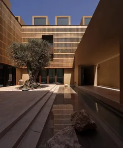 Modern building exterior with stone cladding, featuring a courtyard with an olive tree and a reflective pool.