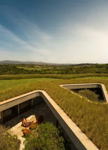 A modern exterior with grass walls, concrete walkways, and stone paths.