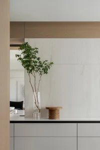 Minimalist interior design featuring a marble countertop and a potted plant in a glass vase.