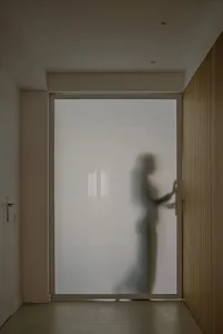 Silhouette of a person standing behind a frosted glass door, creating an industrial interior design atmosphere.
