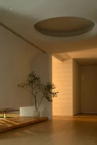 A minimalist living room featuring wooden floors, white walls, and a single potted plant.