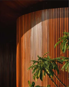 A close-up view of a modern interior with a wooden paneled wall.