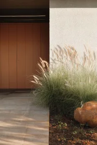 Concrete pathway outdoors with tall green grasses and a textured wall.