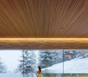 Modern interior design featuring wood materials.