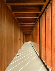 A minimalist corridor featuring wooden paneling and light streaming through windows.