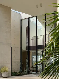 Concrete staircase enclosed by glass wall, with plants and cactus.