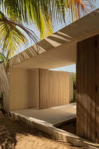 A minimalist entrance made of concrete with wood elements and a palm tree nearby.