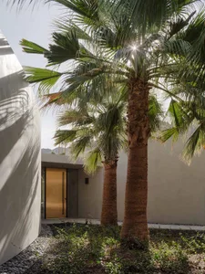 An image of a minimalist residential entryway with concrete walls and palm trees