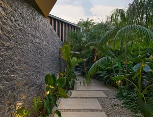 A concrete road bordered by gravel and surrounded by plants and palm trees.