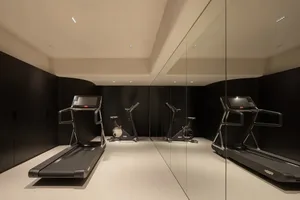 A minimalist gym room with metallic equipment and reflective surfaces.