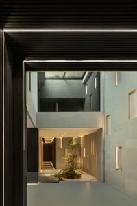 A modern residential entryway featuring concrete and glass materials, with a small indoor garden and illuminated by subtle li