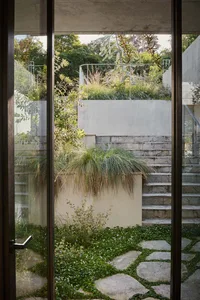 Modern garden featuring various plants and a stone pathway.