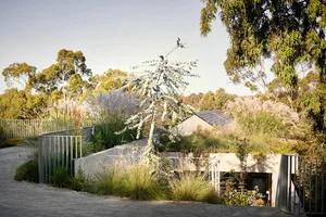 A modern concrete residence featuring a green roof surrounded by natural vegetation.