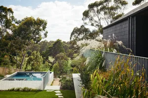 A modern residential backyard featuring a small pool surrounded by greenery, with a wooden fence and a large house in the bac