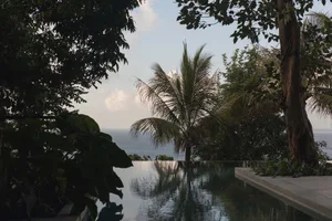 A serene tropical resort scene featuring a calm water feature surrounded by lush foliage and palm trees.