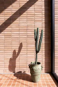A cactus plant in a green ceramic pot on a tiled floor against a brick wall.