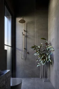 A modern bathroom featuring black concrete walls, a rainfall showerhead, and a potted plant.