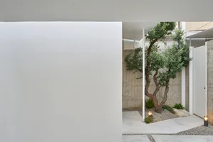 極簡建築花園，以混凝土牆面與地面為主，搭配一棵樹木及綠意植栽。