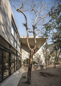 A modern house with a concrete exterior and a verandah surrounded by trees and gravel.