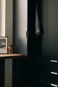 A modern black metallic closet with a checkered shirt hanging inside, a wooden ledge displaying a figurine, and a framed phot