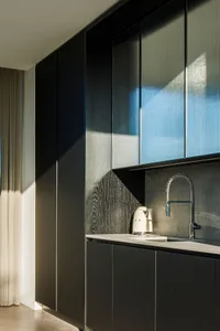 A modern kitchen with black wooden cabinets and a sleek, minimalist design.