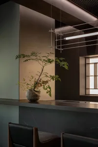Modern interior design featuring a wooden counter and minimalist lighting with a plant arrangement.