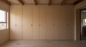 A minimalist interior design featuring a closet with wooden paneling.