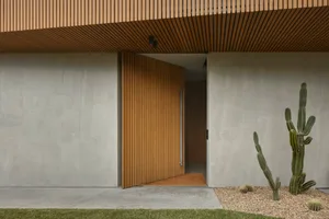 Modern exterior of a house with a wooden front door.