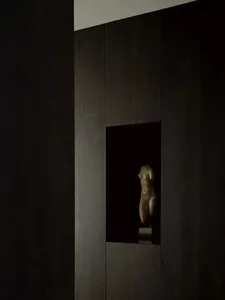 A carved wooden sculpture embedded in a dark wooden wall