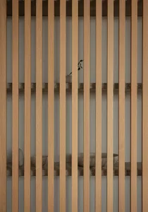 Modern kitchen featuring wooden slats on the wall