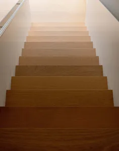 Modern minimalist wooden staircase with gradient shading