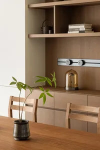 A modern dining room with wooden furniture and green plant