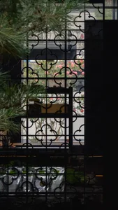 A graceful window with a black metal fence indoors, showcasing intricate geometric designs and lush greenery outside.