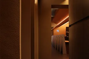 A minimalist corridor featuring wooden panels and metallic accents.