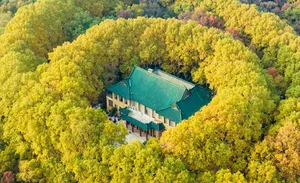 Aerial view of an ancient Chinese building with green tiled roof surrounded by trees