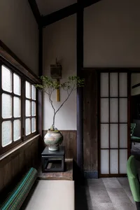 A modern residential interior with dark wood paneling, bonsai tree, and traditional Japanese sliding doors.