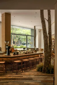 Interior design of a modern coffee shop bar with a rustic wooden counter and stools, featuring a minimalist aesthetic and nat