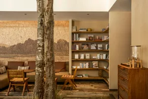 A modern living room with wooden furniture and a large bookshelf.