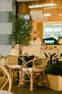 A cozy cafe interior with bamboo woven furniture, green plants, and a warm aesthetic.