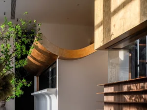 Modern interior design featuring a curved wooden corridor with natural light streaming in through large windows.
