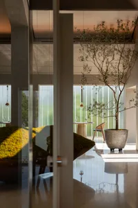 A modern restaurant interior with concrete and glass materials, featuring a table setting and a tree in a vase.