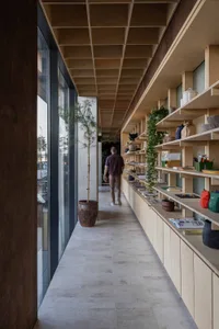 Modern office interior with wooden shelves and green plants on a concrete floor.