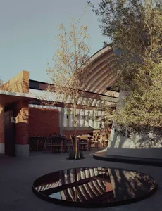 A modern restaurant exterior with concrete walls and a tree in the center of a paved area.