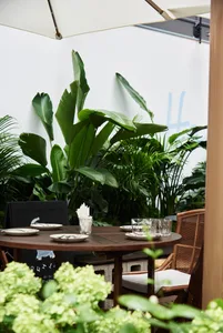 An outdoor dining area with a wooden table surrounded by lush green plants and a white umbrella.